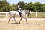 SBM_010568