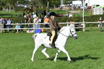 SBM_50308