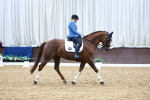 SBM_004052