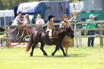 SBM_05314