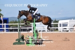 BPP_1464