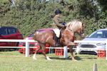 JPP_2055
