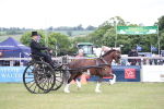 SBM_05815