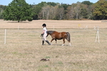 WJ6_9439