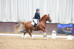 SBM_011533