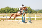 SBM_000693