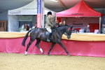 SBM_00745