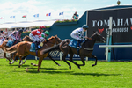 230526-Race 2-Possessive-6198