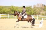SBM_008007