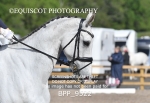 BPP_9522