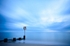 Swanage Groyne