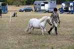 WJ6_5947