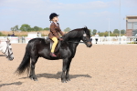 Class 310 First Ridden Pony portfolio