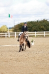 SBM_009910