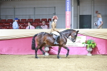 SBM_08034