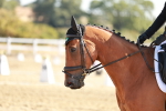SBM_016979