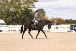 SBM_14321