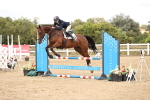 SBM_008443