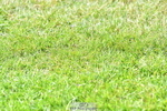 260630A-110414-05743