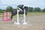 BPP_8801