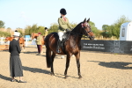 SBM_00407