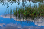 Intimate Landscapes