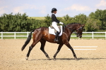 SBM_002271