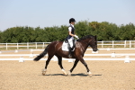 SBM_004912