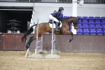 SBM_002980