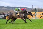 Race 3 portfolio