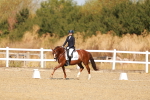 SBM_016840