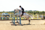 SBM_006740