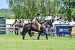 SBM_17395