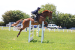 3E7A1154