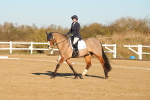 SBM_004692