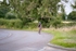 DSCF3568