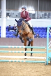 Class 20 - Senior British Novice/ 90cm Open - First Round (0.90m) portfolio