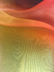 Vibrant & Soft portfolio