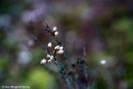 Sandgate Park - 11