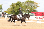 SBM_02048