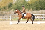 SBM_013056
