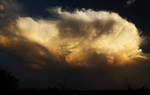 Stunning Cell-1-3002
