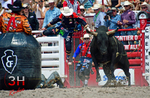 3HRodeo_CFD_JUL_17_2026_03686