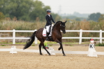 SBM_009244