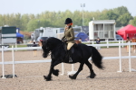 Class 302 Ridden M&M -Large Breeds portfolio