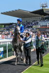 230626-Race 2-Tattie Bogle-0407