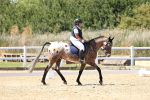 SBM_002638