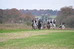 WJ6_9120