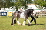 SBM_08801