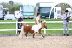 SBM_05822